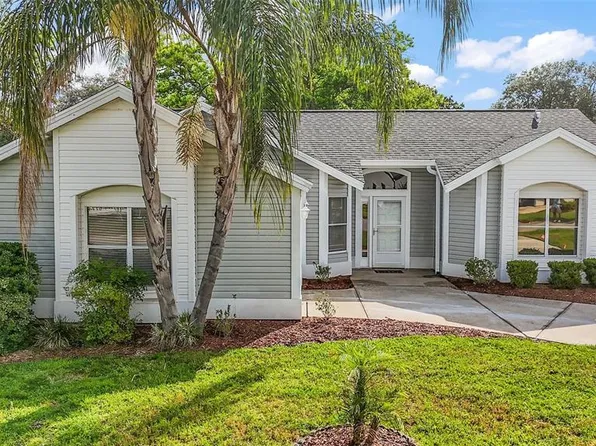 507 Ventura Ct, Lady Lake, FL 32159