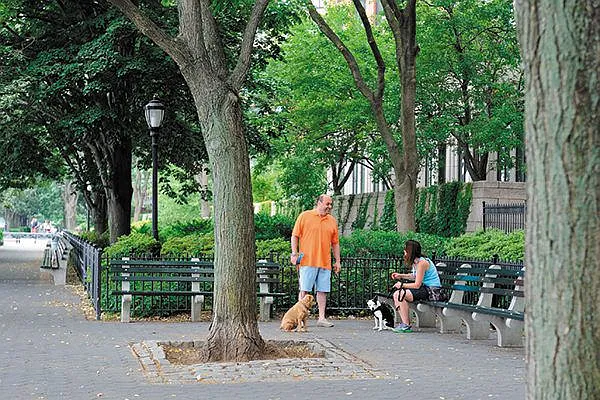 Sold by R New York | media 34