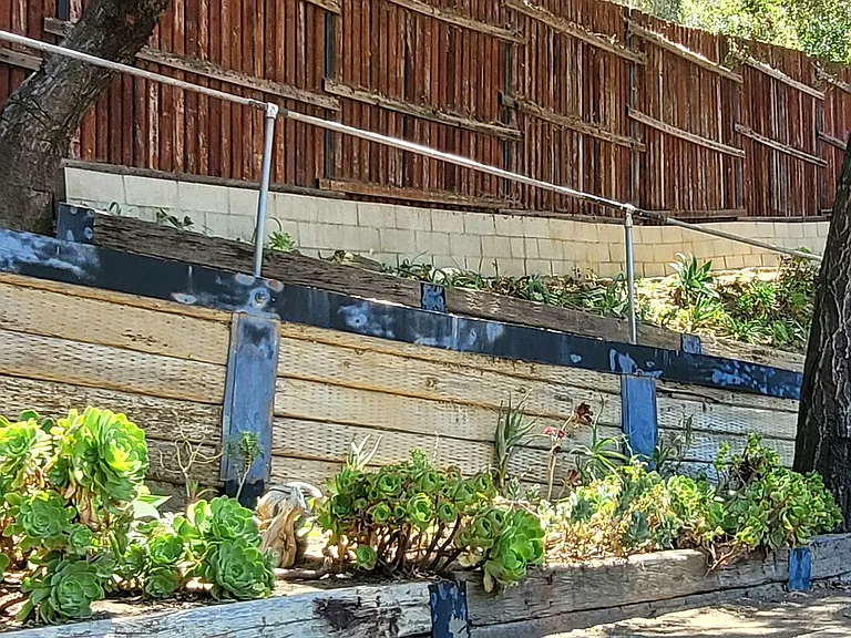 Bonilla Dr — Photo 14