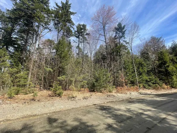 Lot 10 Willis Cemetery Road, Stratton, VT 05360