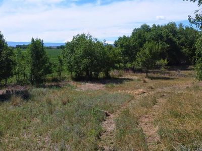 8577 Linn Avenue, Hotchkiss, CO, 81419