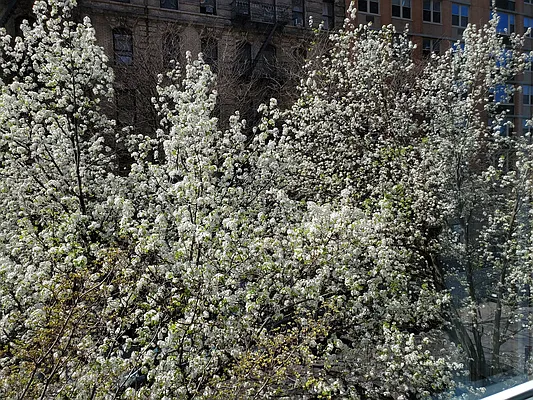 Sold by Corcoran | media 17