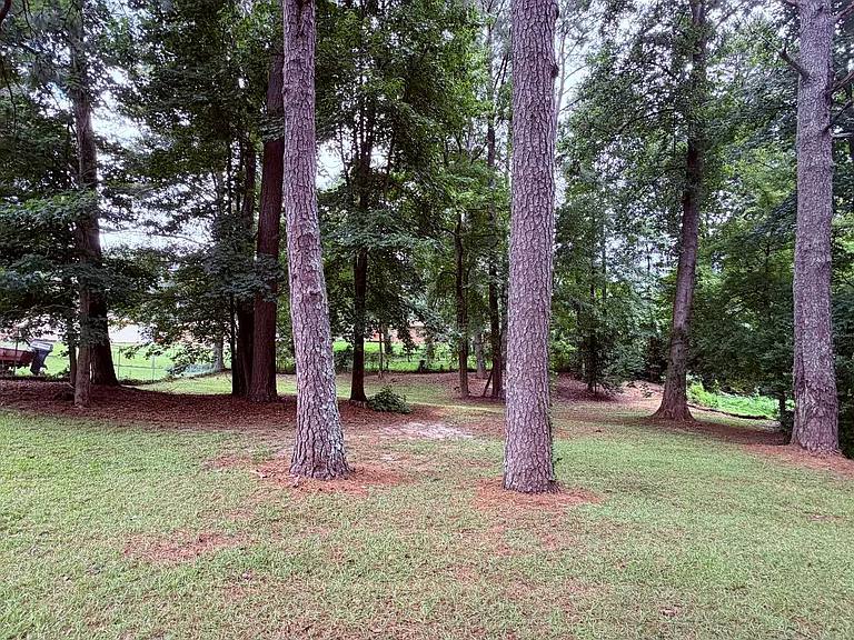 4431 Donegal Cir — Photo 20
