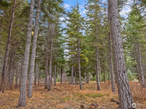 230 Goat Creek Lane, Cle Elum, WA 98922