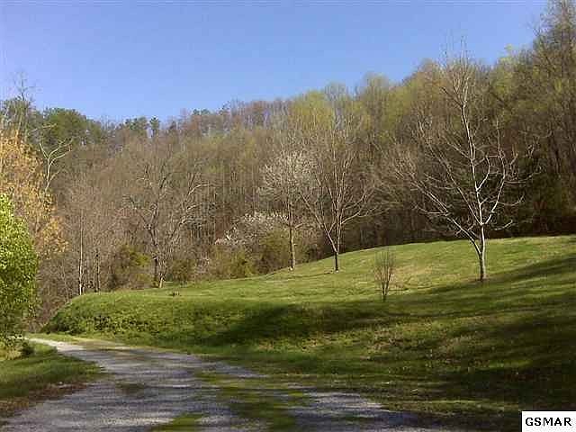 1st image of 1505 Bench Mountain Way #0
