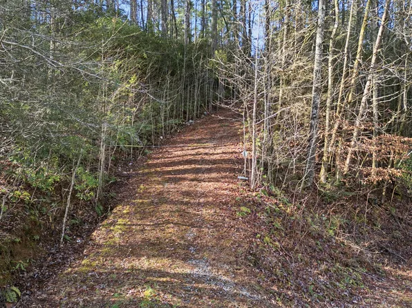 0 Camp Wahsega Rd, Dahlon, GA 30533