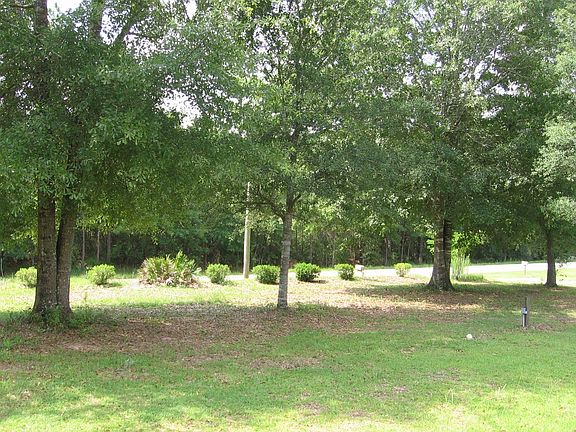 View in the yard!