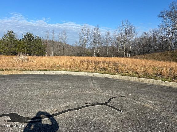2nd image of 117 Scenic View Ln Lot 33