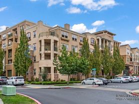 49002 Cinnamon Fern Cmn