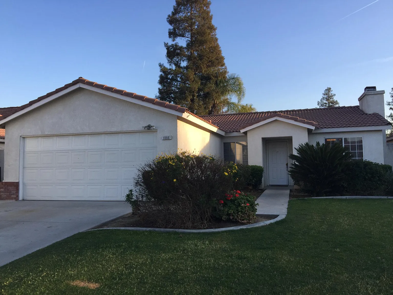 10507 Petalo Dr photo 1