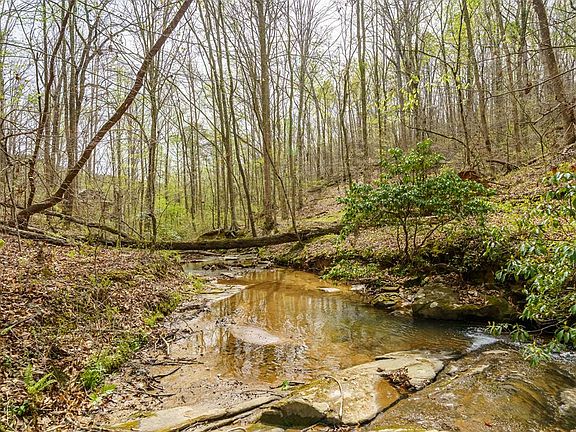 3rd image of 3467 Carver Mill Rd