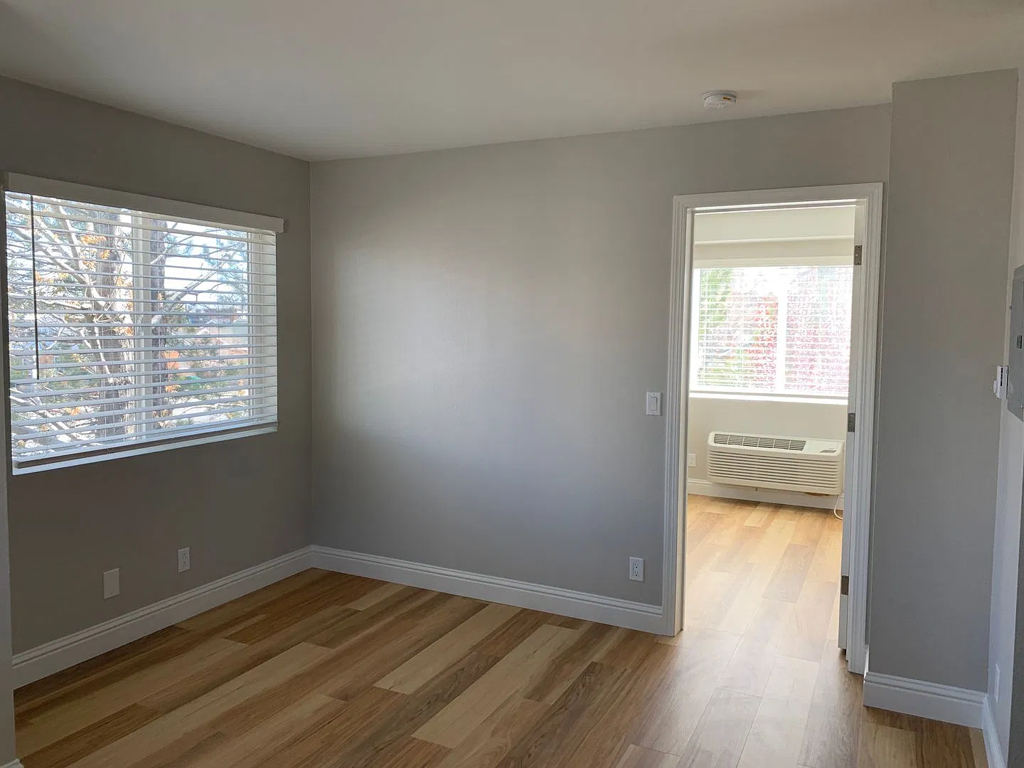 310P — Photo 2