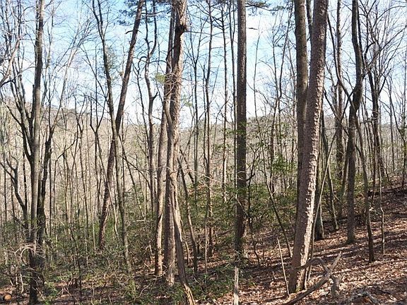 3rd image of 4044 Quail Cove Dr