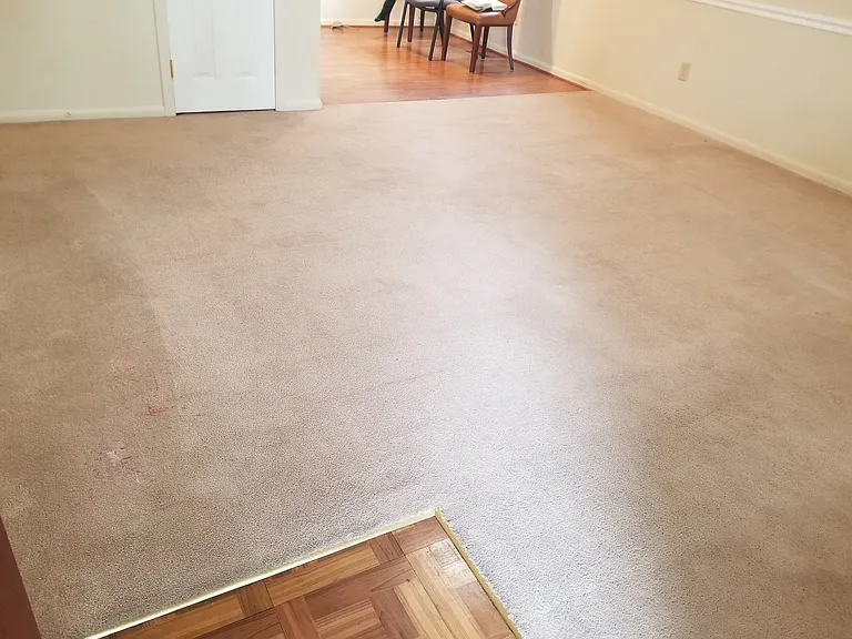 View of living room from front door entrance. Dining room on top right. Door left of dining room is coat closet.