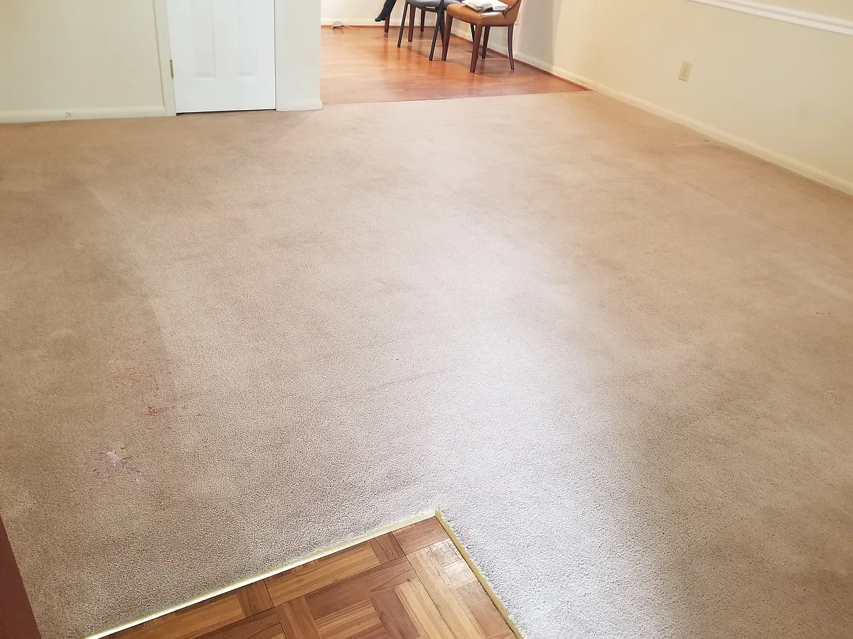 View of living room from front door entrance. Dining room on top right. Door left of dining room is coat closet. - 8414 Orcutt Ave