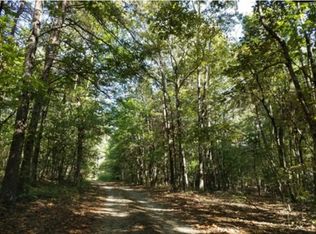 66 Dan Fowler Rd, Dahlonega, GA 30533