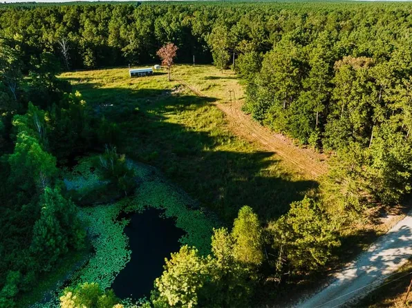 141 Buford Lashley Rd, Atlanta, LA 71404