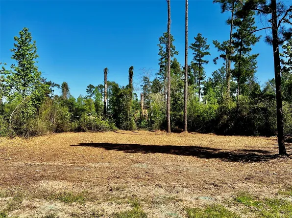 171 Brahman Lot 51, Onalaska, TX 77360