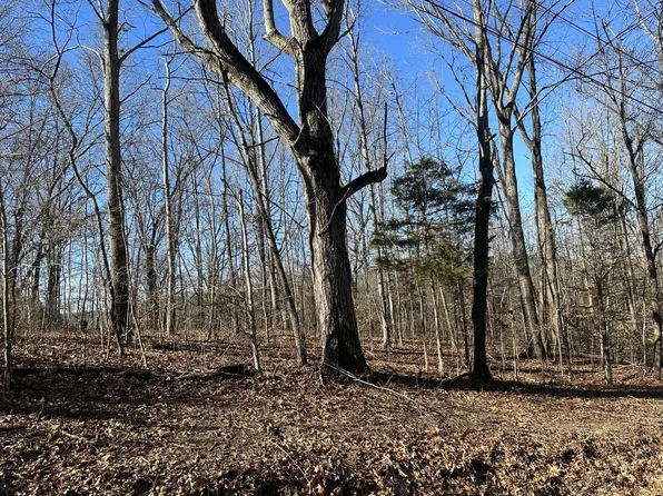 352 Pulley St Lot 5, Erin, TN 37061