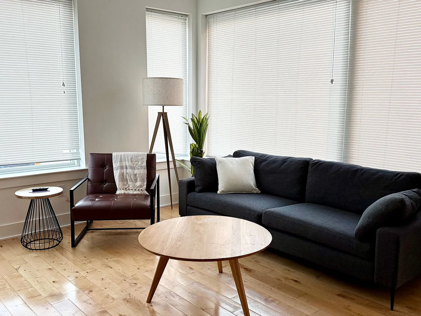 LUDLOW_4100 — Photo 2
