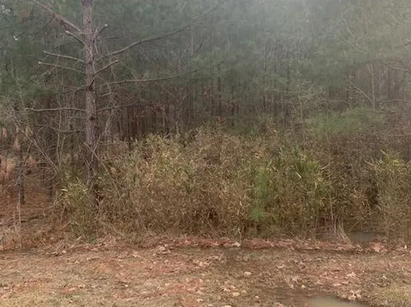 1638 35 #L15, Pachuta, MS 39347