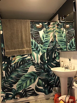 Rented by Carnegie Management Inc | media 5