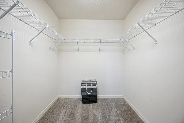 3531 Thorne Path — Photo 15
