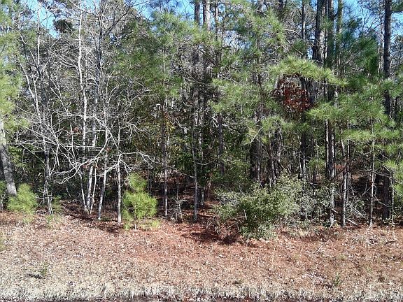 3rd image of 124 Little Creek Drive