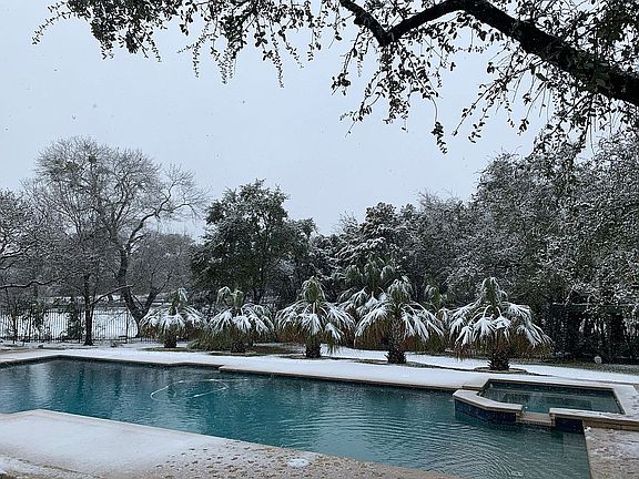 3rd image of 12006 Colleyville Dr