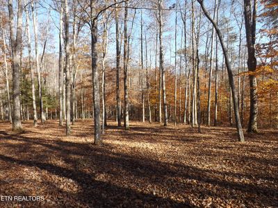 Route 516 Old Cross Rd, Pineville, KY, 40977