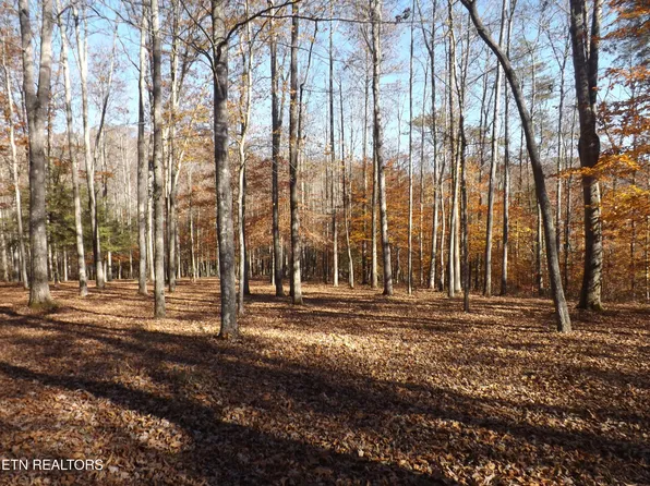 Route 516 Old Cross Rd, Pineville, KY 40977