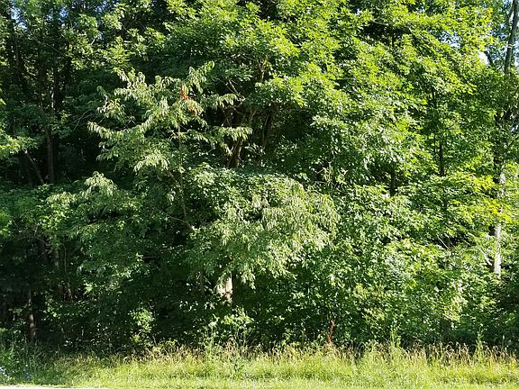 2nd image of 1504 Winthrop Ct Lot 2