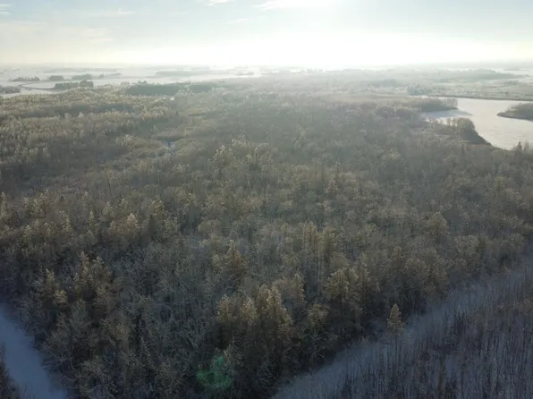 40 Acres Western Ave, Antigo, WI 54409