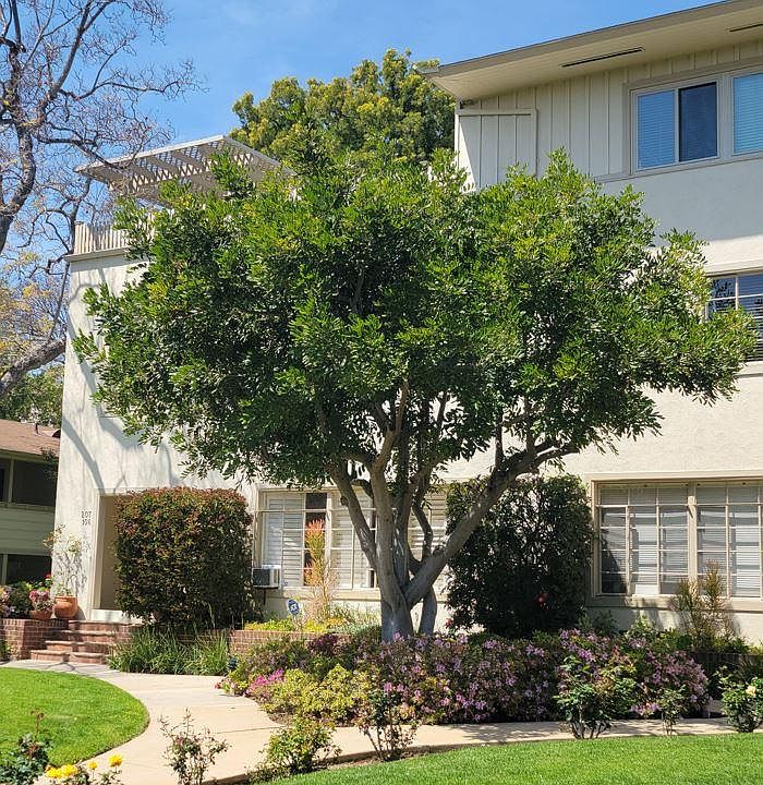 1st image of 11901 W Sunset Blvd APT 106