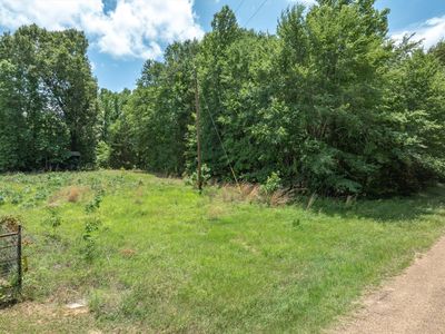 Vz County Road 4909, Ben Wheeler, TX, 75754
