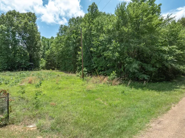 Vz County Road 4909, Ben Wheeler, TX 75754