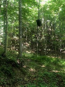 0 Leonard Long Rd, Renick, WV, 24966