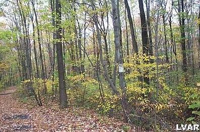 2nd image of 360 Old Grade Rd