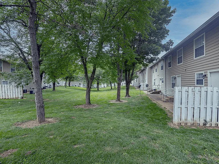 Mature Shade Trees