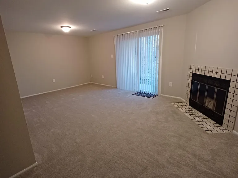 Lower Level Den
