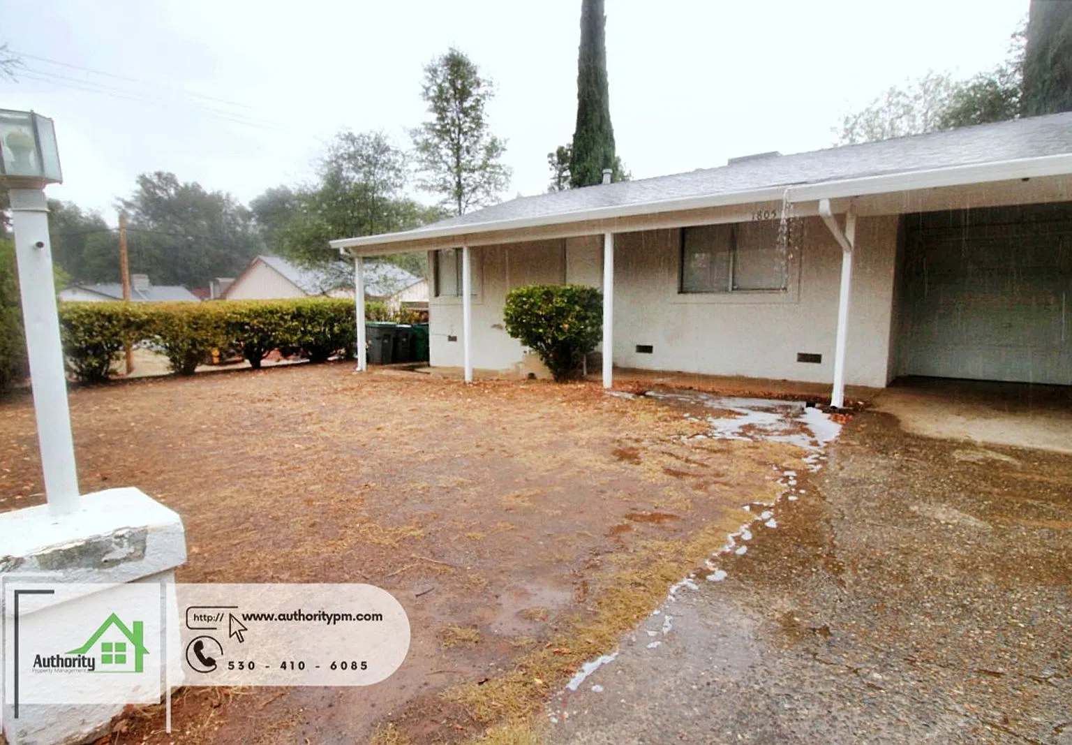 2 bed, 1.0 bath, 850 sqft, $1,350 — Photo 2