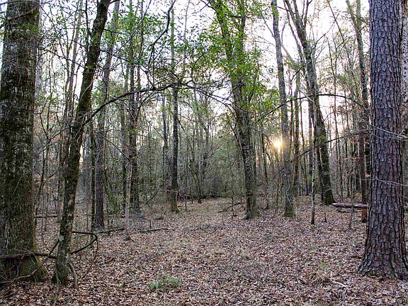 3rd image of 1 Moreland Rd #1