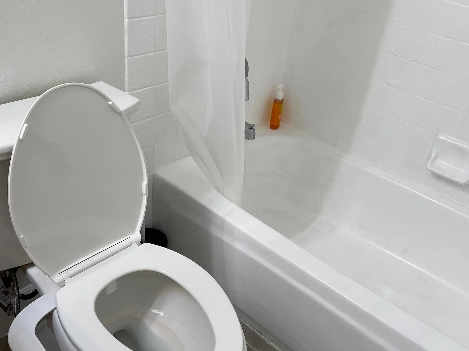 1 bed, 220 sqft, $750 — Photo 4
