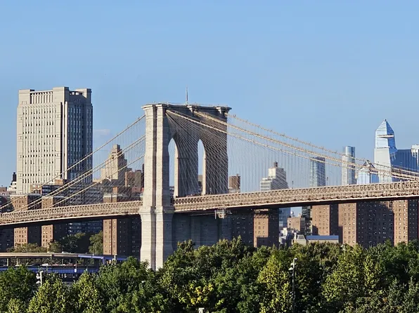 80 Cranberry Street image 6 of 7