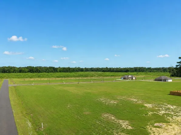 13509 Eagles Park Dr, Denham Springs, LA 70726