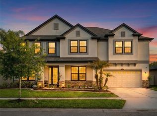 11741 Albatross Ln, Riverview, FL 33569