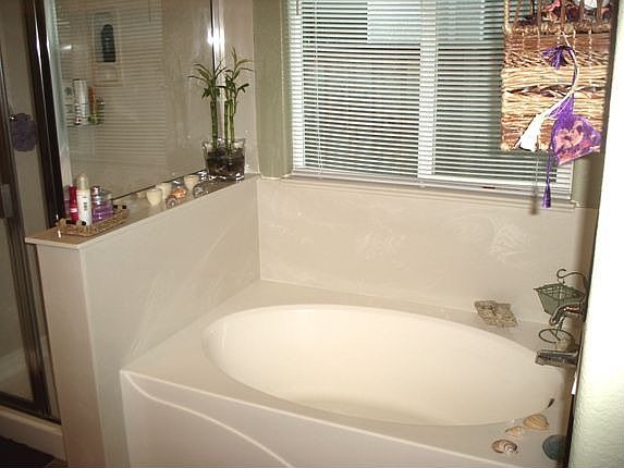 Master Bathroom 1