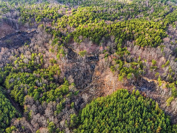 3rd image of 2154 Fallen Oak Pass