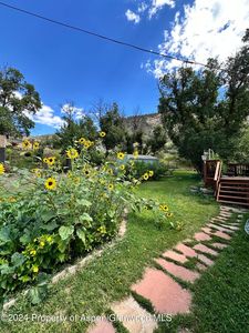 220 Clark Dr, El Jebel, CO, 81623