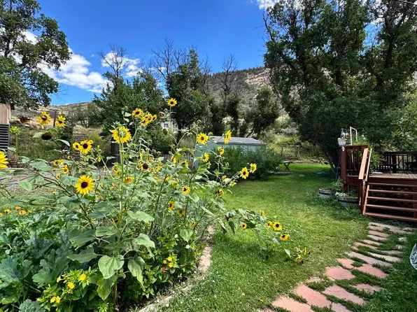 220 Clark Dr, El Jebel, CO 81623